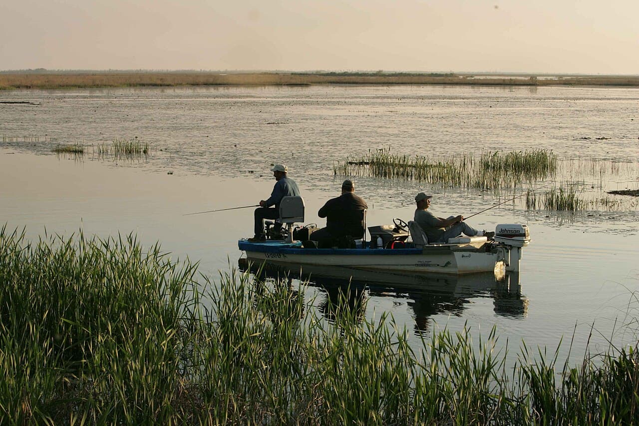 🚤 Lure Predator S23 ➡️ Barco de pesca deportiva (bass boat) en la vida real